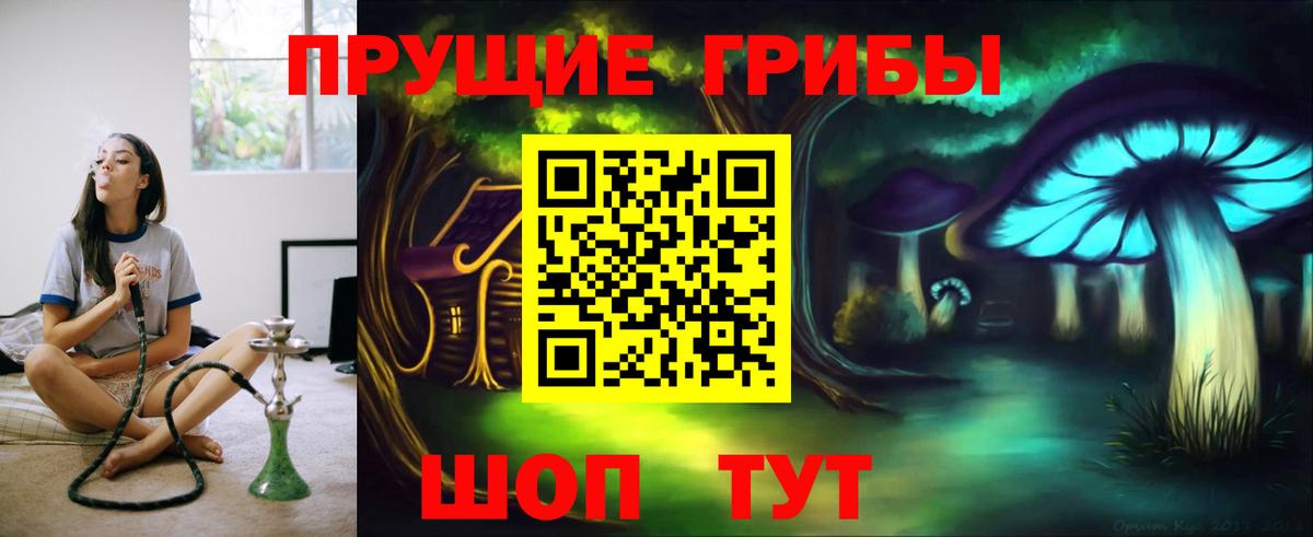 Кумертау  Галлюциногенные грибы прущие грибы  Вход с VPN  Галлюциногенные грибы Psilocybine cubensis 